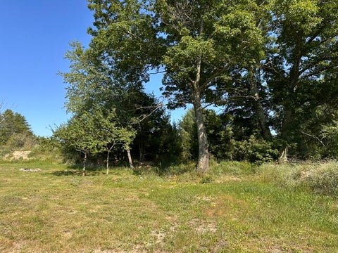 Photo of 207 Skocelas Road N, Manistee, MI 49660 (MLS # 26038257)