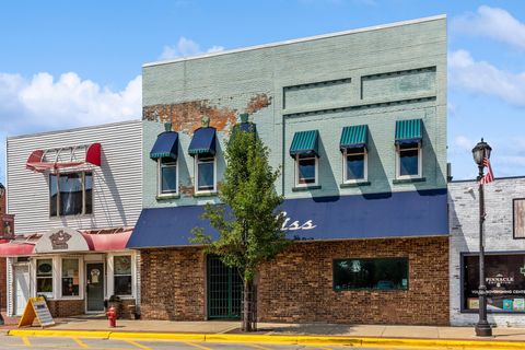 217 E Front Street Buchanan MI 49107