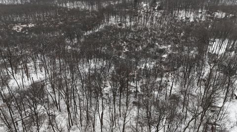 Photo of Crooked Creek Rd. 1, White Pigeon, MI 49099 (MLS # 24035431)