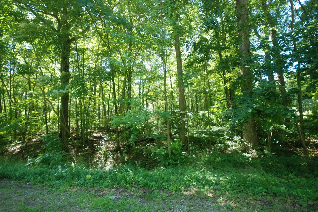 Photo of N 160th Avenue, Holland, MI 49424 (MLS # 23029594)