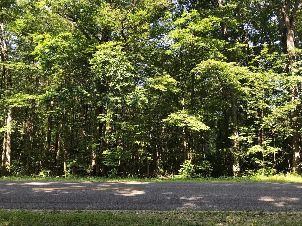 Photo of N 160th Avenue, Holland, MI 49424 (MLS # 23029594)