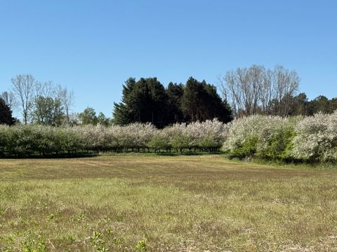 5140 37 Mile Road Road Romeo MI 48065