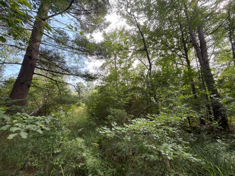 Photo of US-31, Manistee, MI 49660 (MLS # 26040710)