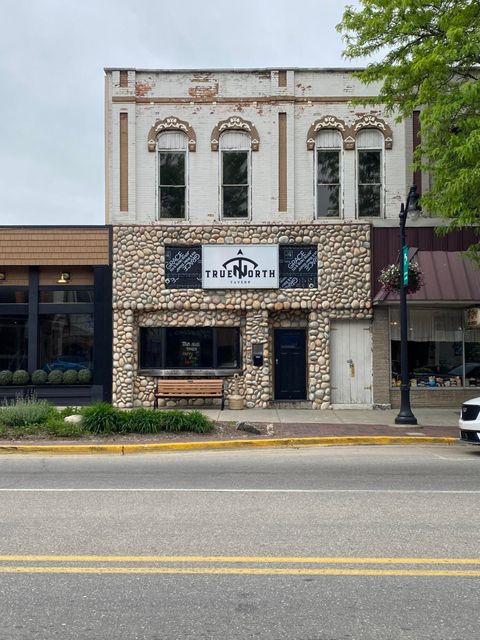 Photo of 217 S Lafayette Street, Greenville, MI 48838 (MLS # 25047248)