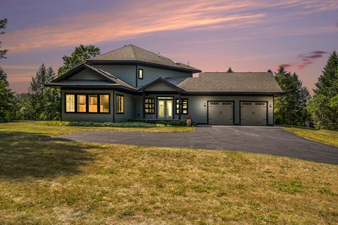 Photo of 6483 N 144th Avenue, Walkerville, MI 49459 (MLS # 26013632)
