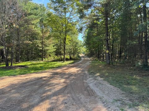 Photo of E County Line Road, Free Soil, MI 49411 (MLS # 25049833)