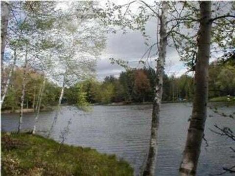 Photo of VL Lot 811 Miramichi Drive, Evart, MI 49631 (MLS # 25012938)