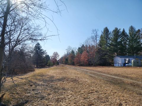 Photo of Lot A 10 1/2 Mile Road, Irons, MI 49644 (MLS # 25051064)