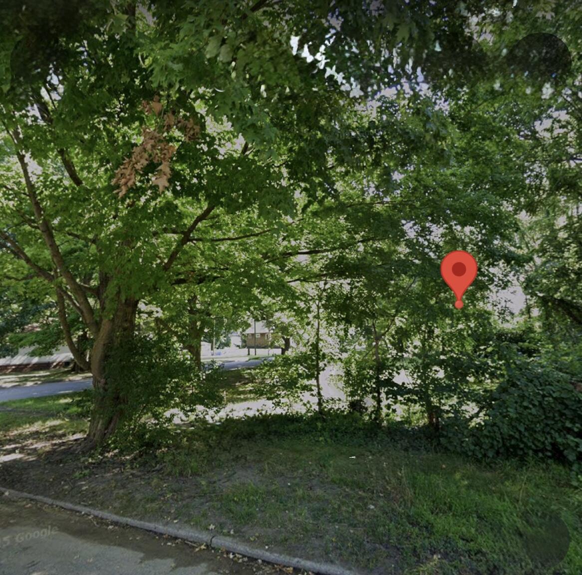 Niles, Michigan 49120, United States, ,Land,Active,216223