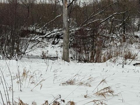 Apache Pass Reed City MI 49677