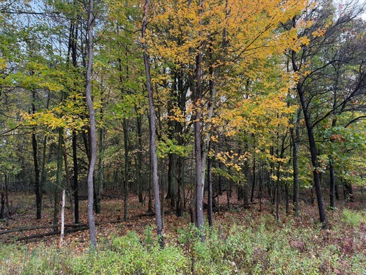 0 NORD ROAD, MUSKEGON, MI 49445 - Image 94b0c788c6bd8e8eace08cdab7ca816a/2492353651