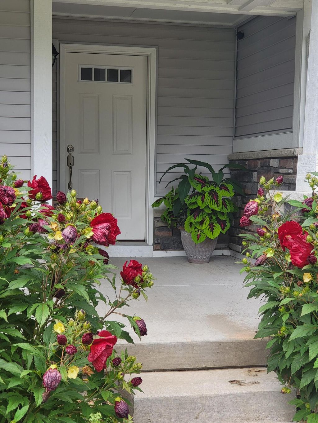 Photo of 14415 Manor Road, Grand Haven, MI 49417 (MLS # 25029204)