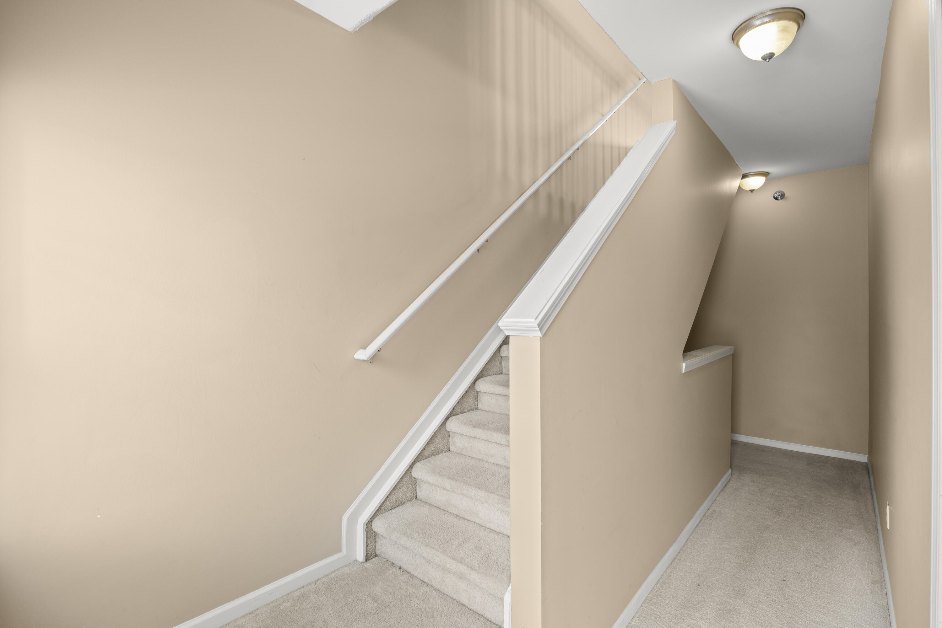 3208 Paradise Trail