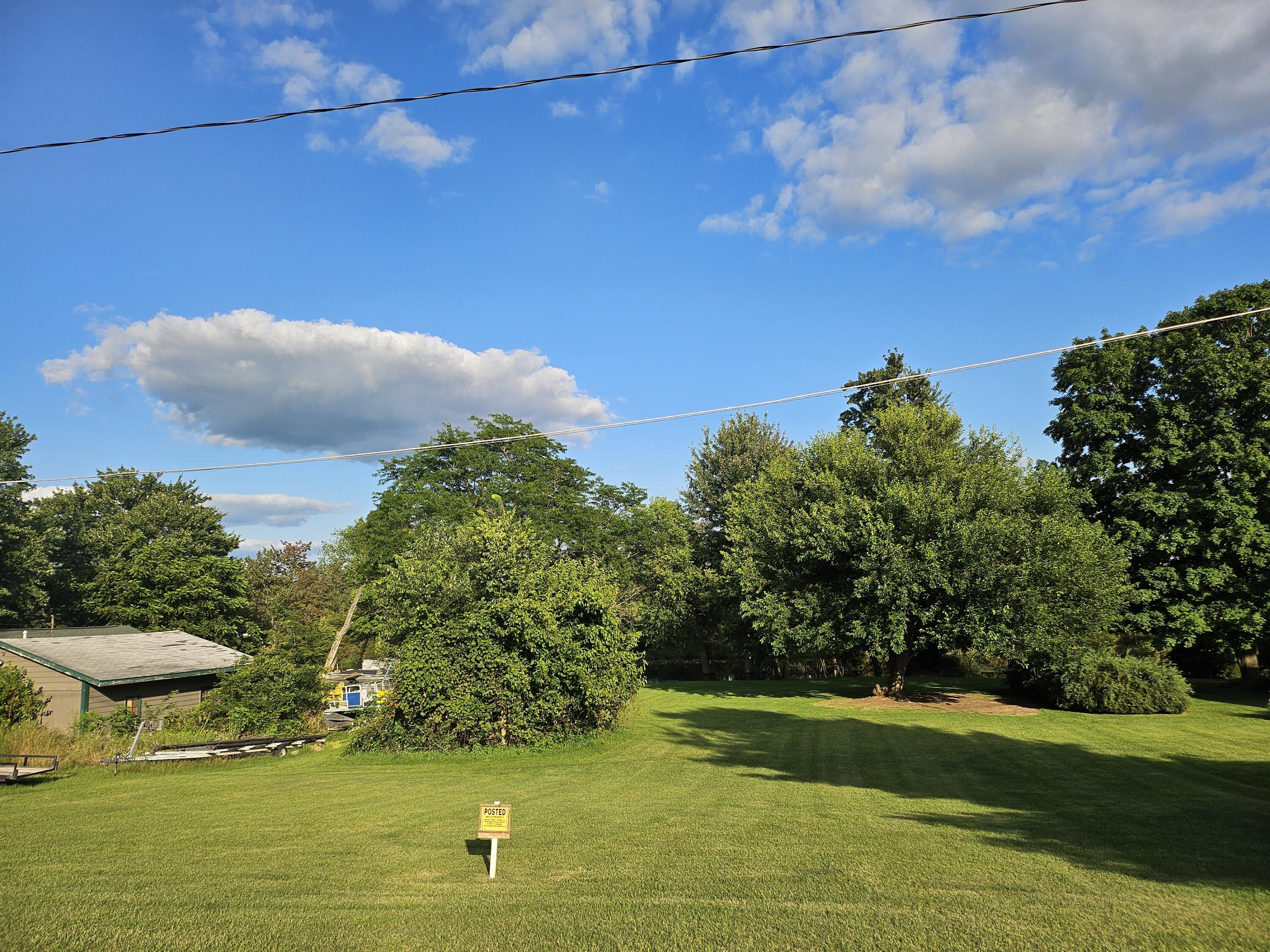 Sherwood, Michigan 49089, United States, ,Land,Active,51750