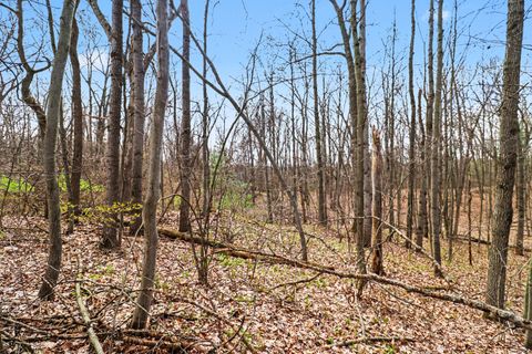 Photo of 6940 19 Mile Road NE, Cedar Springs, MI 49319 (MLS # 26017191)