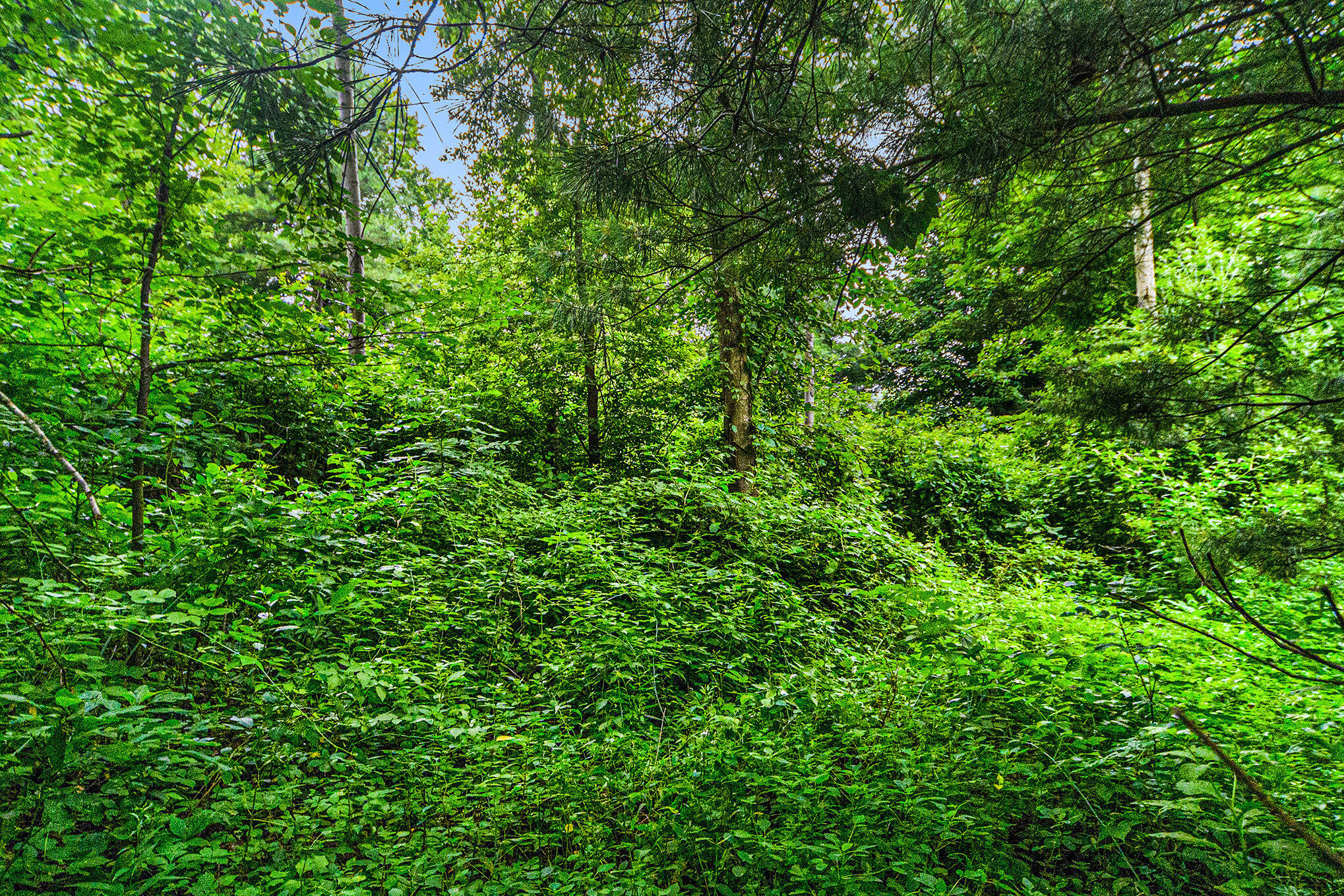 Delton, Michigan 49046, United States, ,Land,Active,176296