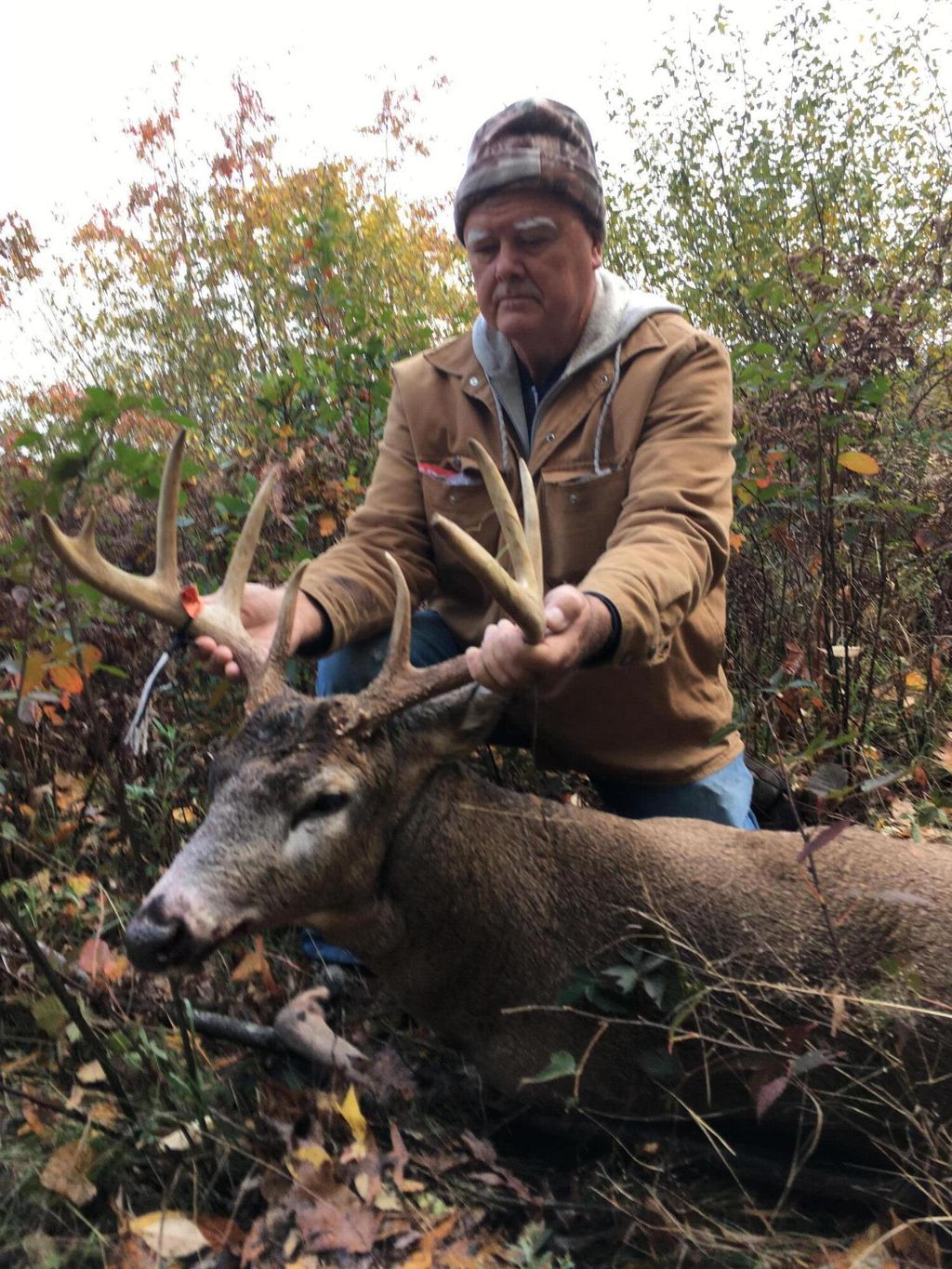 Photo of 16753 S Fenmore Road, Bannister, MI 48807 (MLS # 25056624)