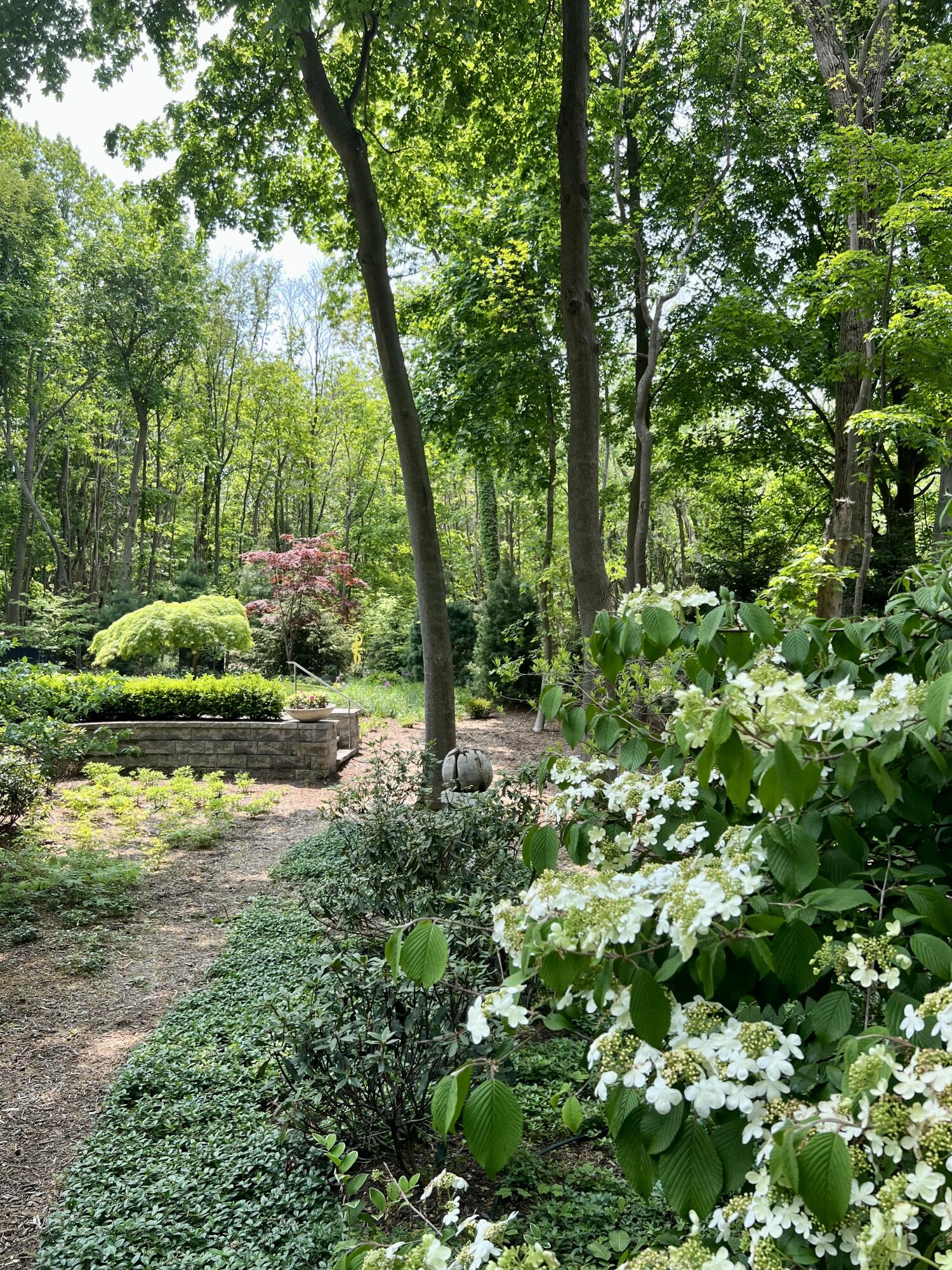 Photo 16 of 90 of 2318 Forest Trail Circle house