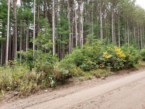 Photo of V/L N Lakola Rd. Road, Leroy, MI 49655 (MLS # 25005001)