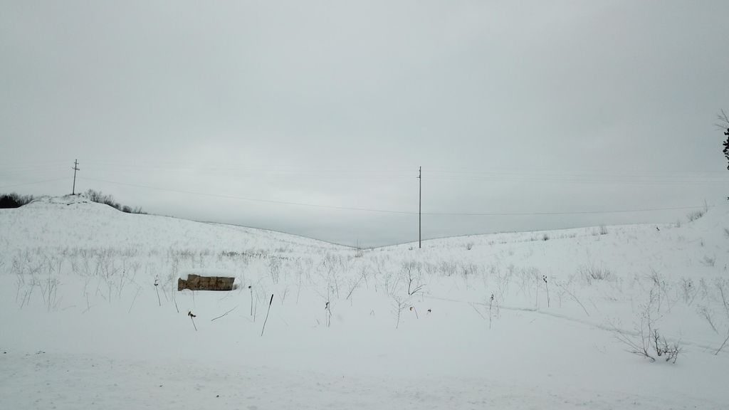 Photo of V/L 72nd Avenue, Shelby, MI 49455 (MLS # 26005788)