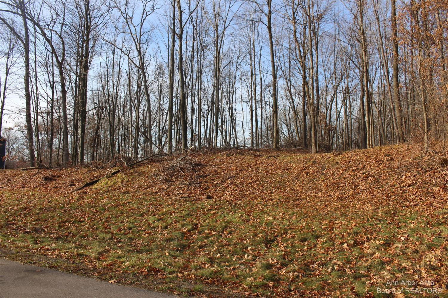 Photo 1 of 2 — 0 Lindsey Unit 13 Road, Jackson, MI 49201