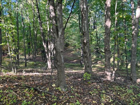 Photo of W Grant Road, New Era, MI 49446 (MLS # 25051864)