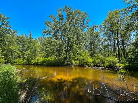 Photo of 3804 E Wilson Road, Custer, MI 49405 (MLS # 26028635)