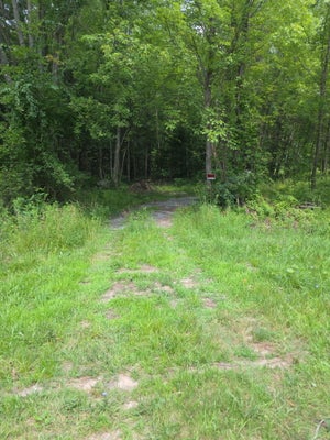 TAFT ST, FRUITPORT, MI 49415 - Image 9999bc14ef2d5be4c8dd526a9398023d/1178826710