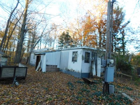 Photo of 14638 Pleasanton Highway, Bear Lake, MI 49614 (MLS # 25057116)