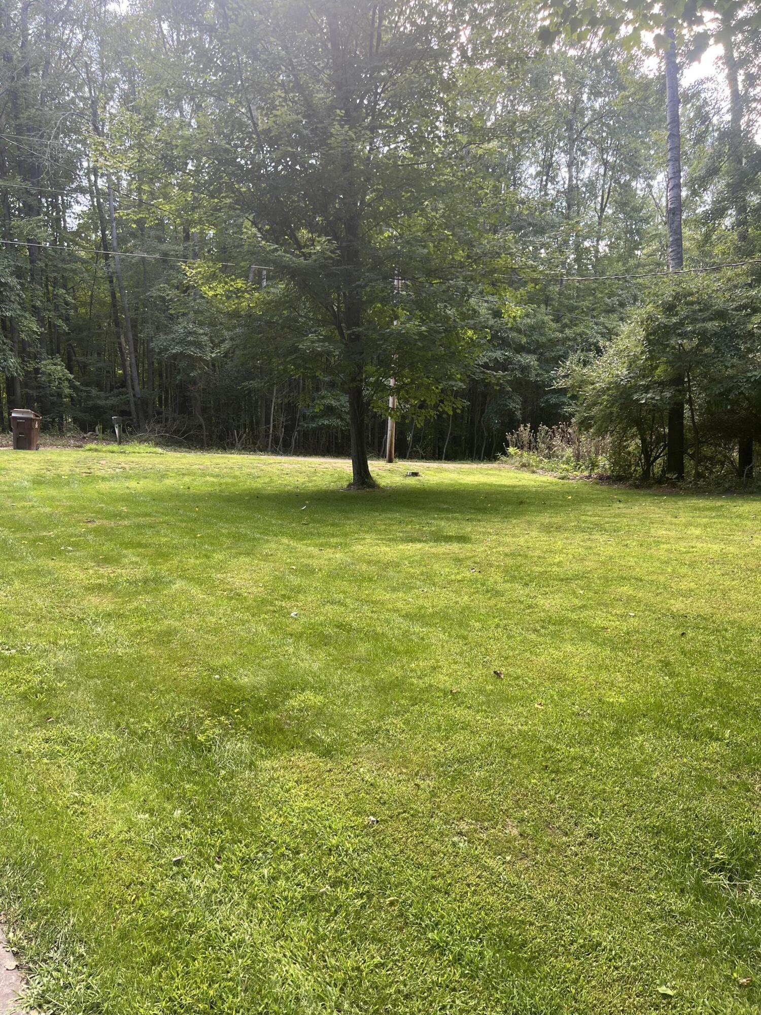 8334 Pine Tree Trail