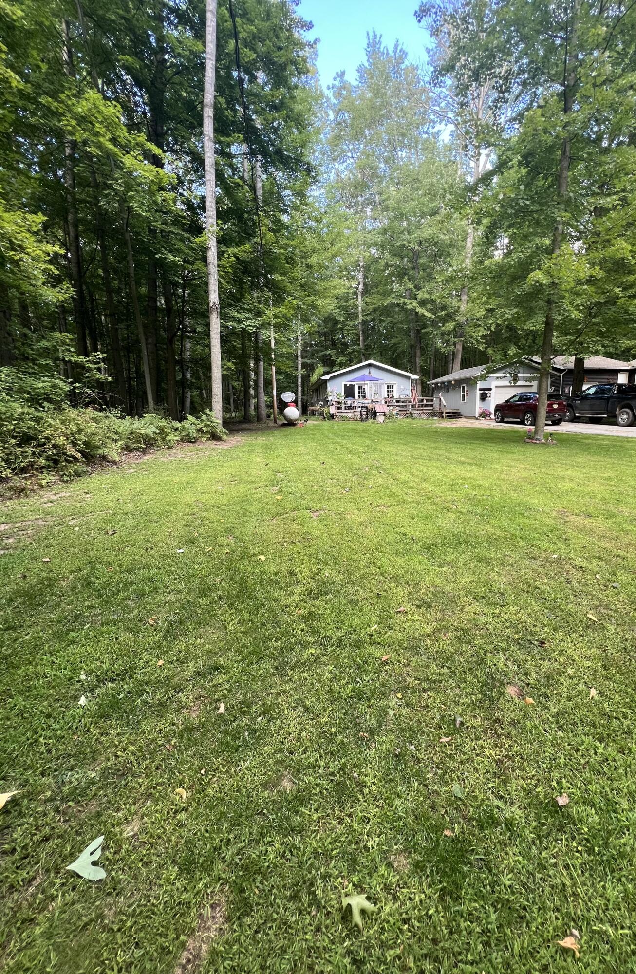 8334 Pine Tree Trail