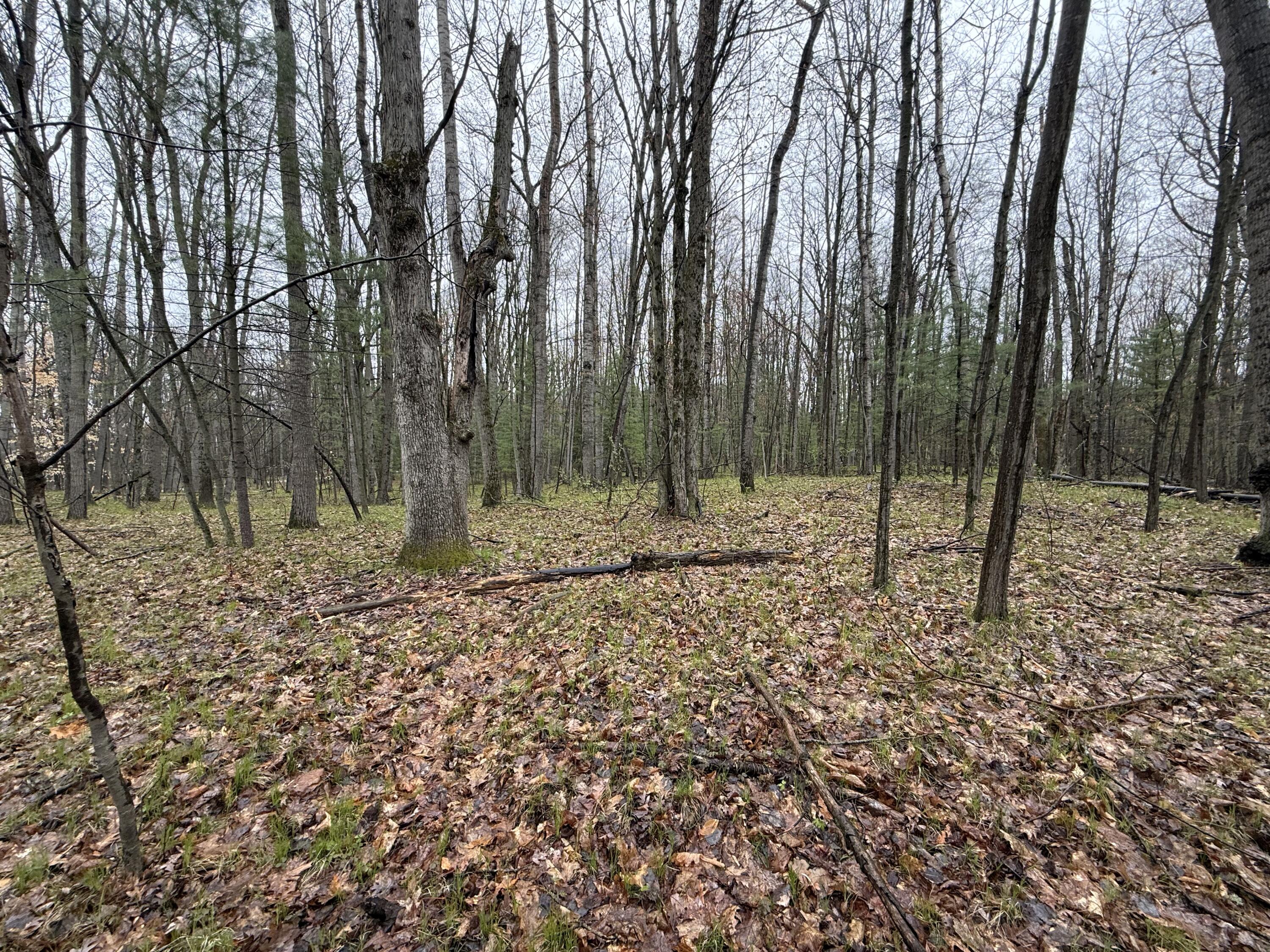 8278 Highland Trail