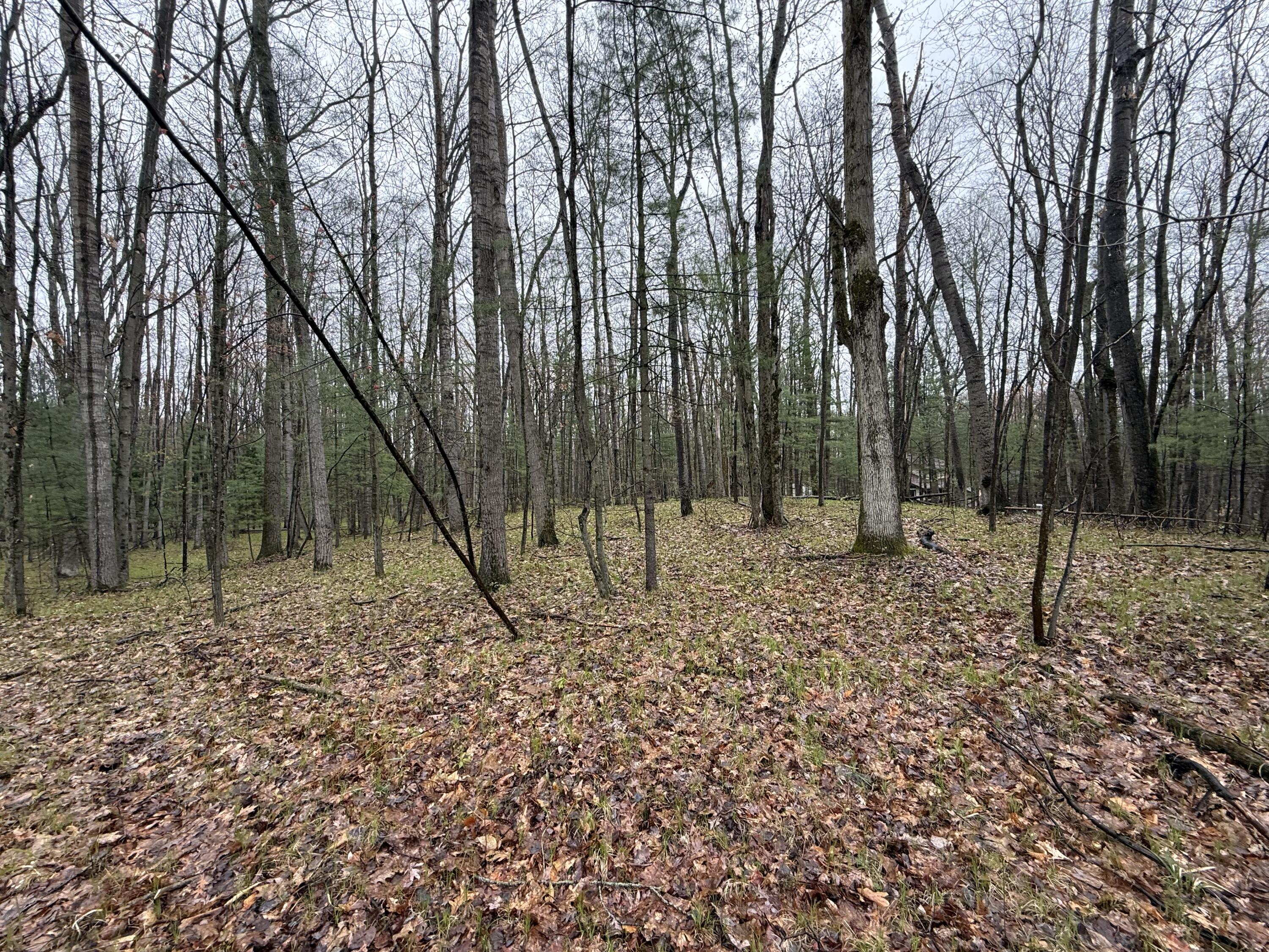 8278 Highland Trail
