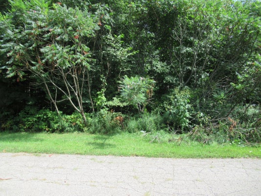 TRACT 3 DEEP WOODS DRIVE, CASSOPOLIS, MI 49031 - Image 9a4bb2cd4a9922734f8202018e4c40f7/9826724