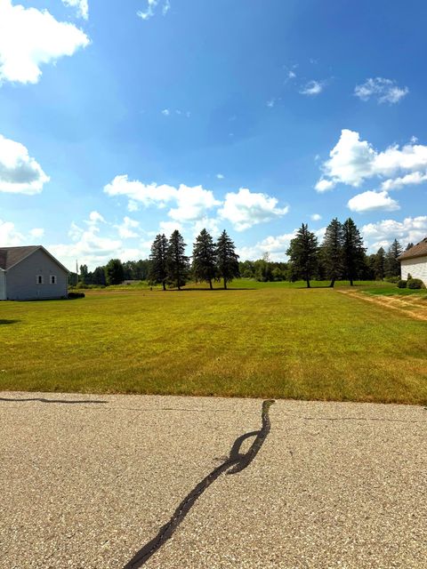 7533 Ryans Run Road Canadian Lakes MI 49346