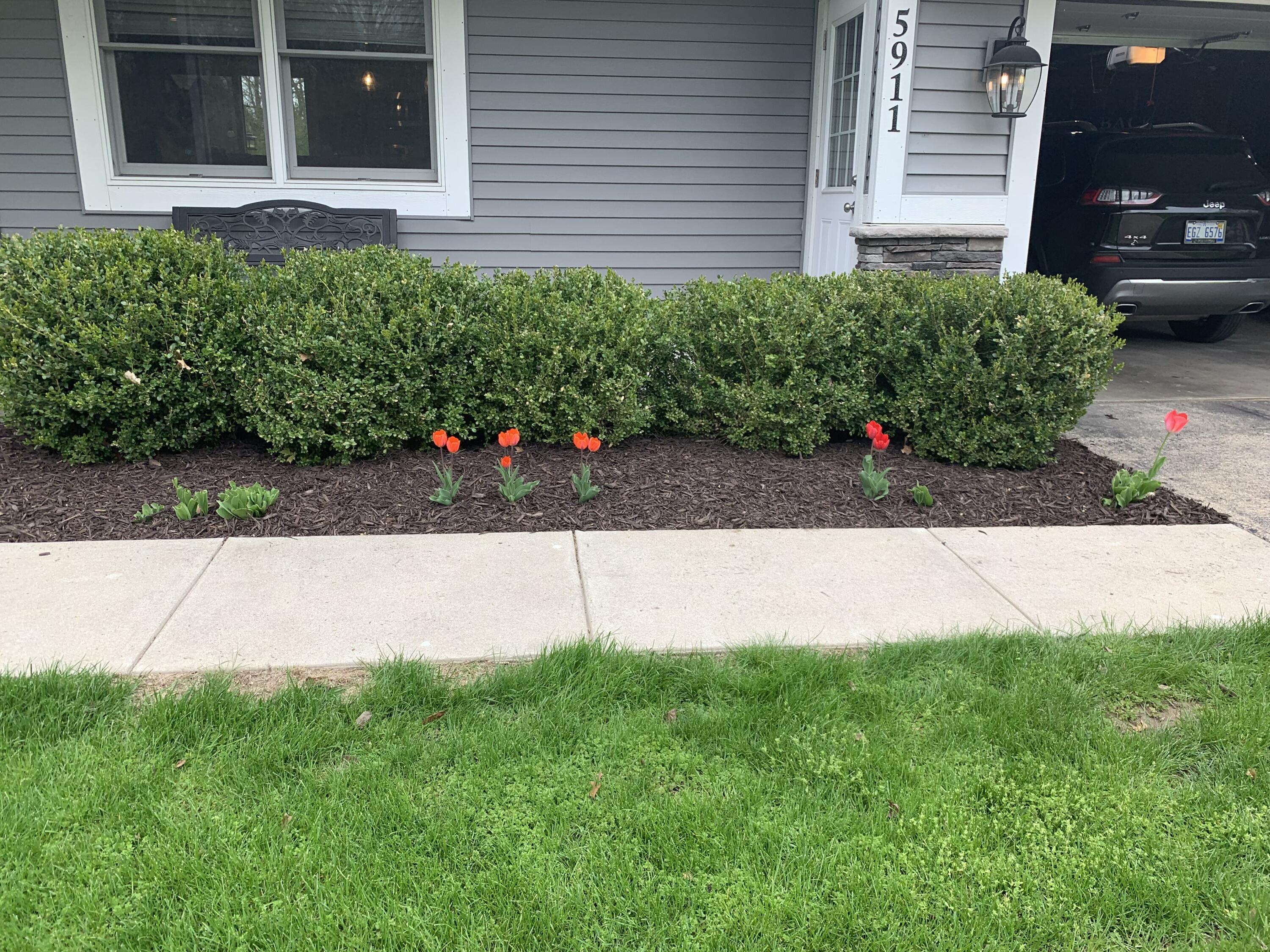 Belmont, Michigan 49306, United States, 4 Bedrooms Bedrooms, ,3 BathroomsBathrooms,Residential,Pending,1760