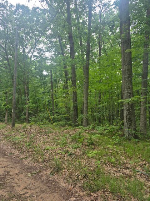 Photo of 6622 E Spruce Road, Fountain, MI 49410 (MLS # 26030977)