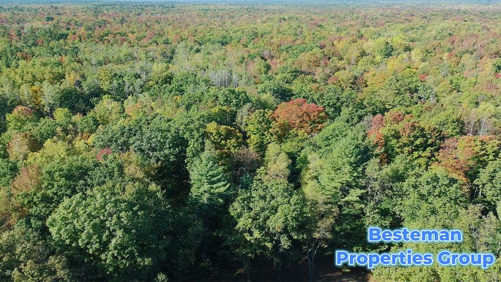 Photo of 4175 Beech Ave Ave, Newaygo, MI 49337 (MLS # 25052213)