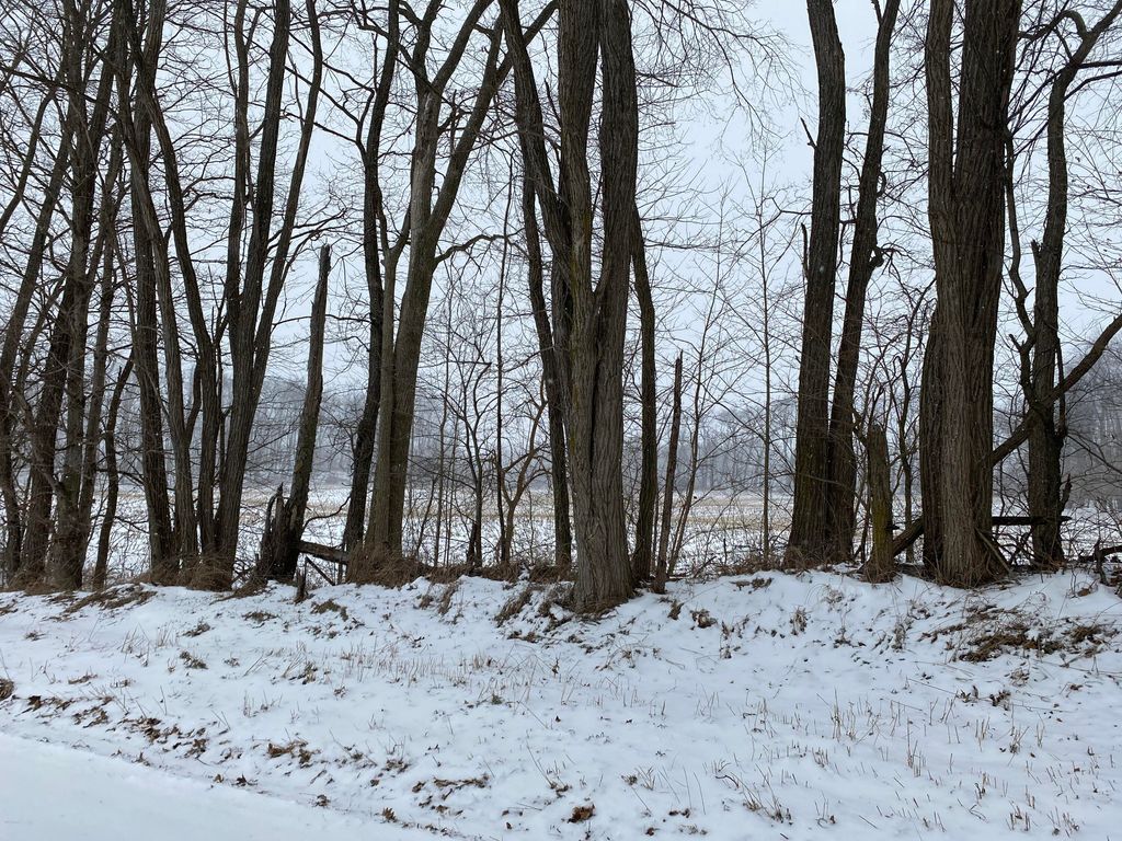 Photo of W Thompson Road, Bronson, MI 49028 (MLS # 26002192)