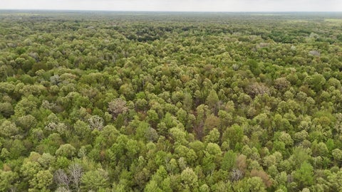 Photo for N Magruder Road