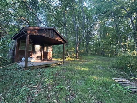 Photo of 11500 Goose Lake Road, Jonesville, MI 49250 (MLS # 25051314)