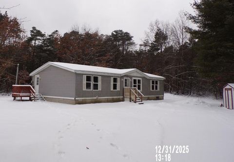 Photo of 1105 Fisk, Morley, MI 49336 (MLS # 26001327)