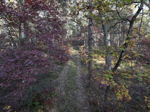 Photo of V/L Free Soil, Free Soil, MI 49411 (MLS # 25019723)