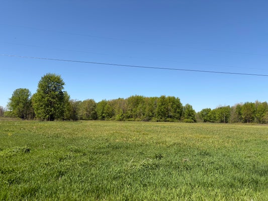 1 40TH ST, BLOOMINGDALE, MI 49026 - Image 9d329cf62b967e2ffe9dbb03a75aa336/2667585488