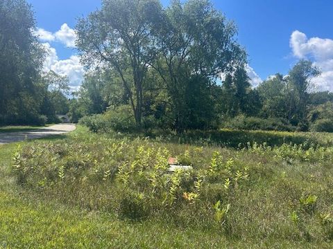 8765 Edgewater Drive Canadian Lakes MI 49346