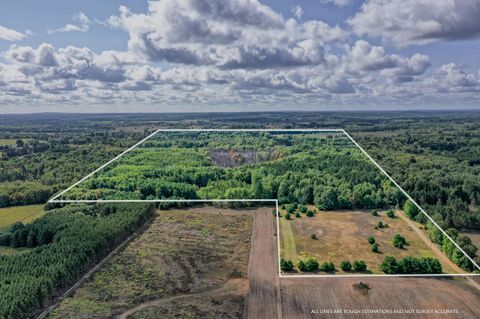 18500 35th Avenue Barryton MI 49305