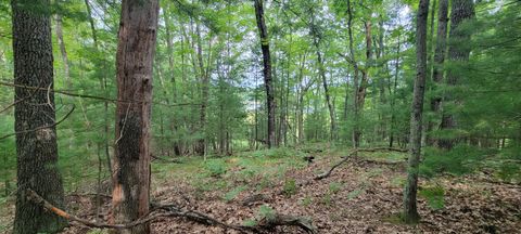 Photo of VL Trail of the Lakes, Baldwin, MI 49304 (MLS # 25038662)