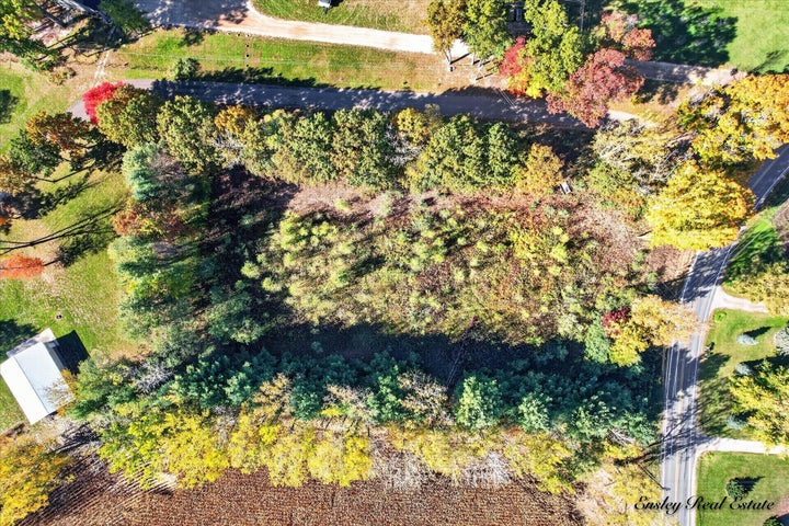 Photo 1 of 12 — 0 Newell Drive, Coral, MI 49322