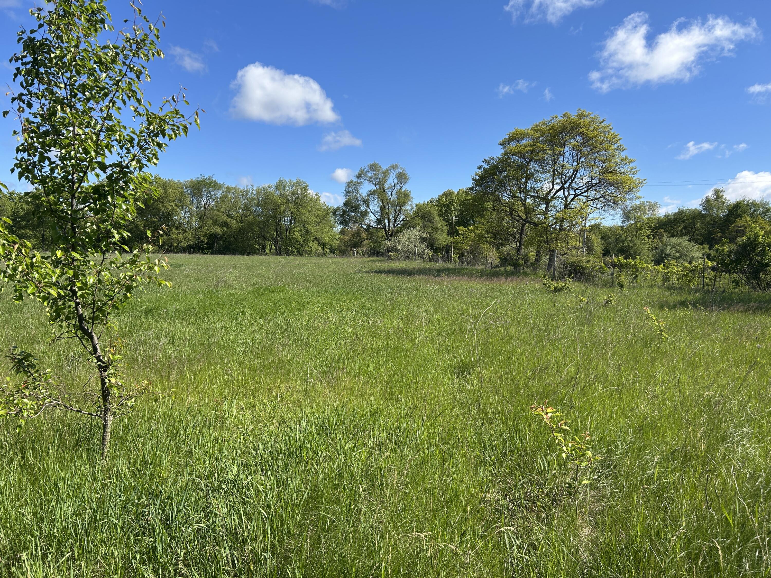 Kalamazoo, Michigan 49004, United States, ,Land,Active,137671