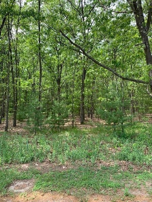 LOT 11 LAKESHORE STREET, MONTAGUE, MI 49437 - Image 9f1c3d0d3a1f2aef9cd25dc6c20f9771/3267773209